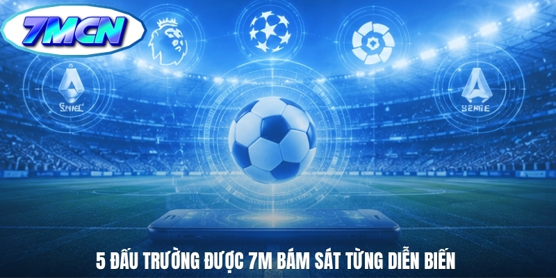 5 đấu trường được 7m bám sát từng diễn biến