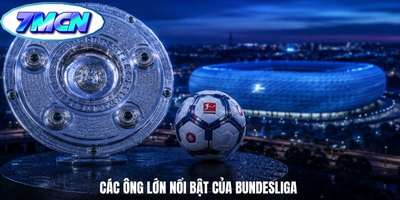 Các ông lớn nổi bật của Bundesliga