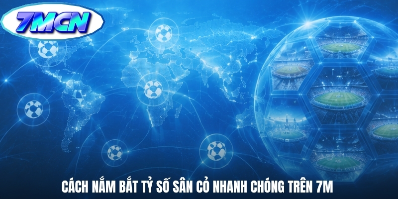 Cách nắm bắt tỷ số sân cỏ nhanh chóng trên 7M 