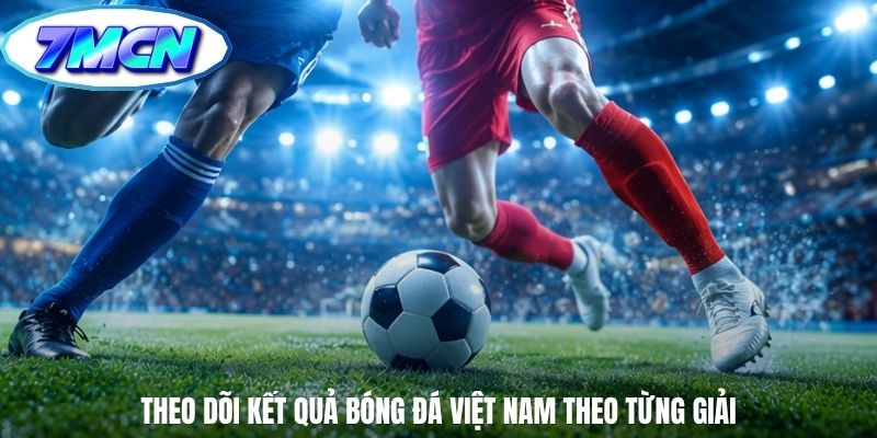 Theo dõi kết quả bóng đá Việt Nam theo từng giải