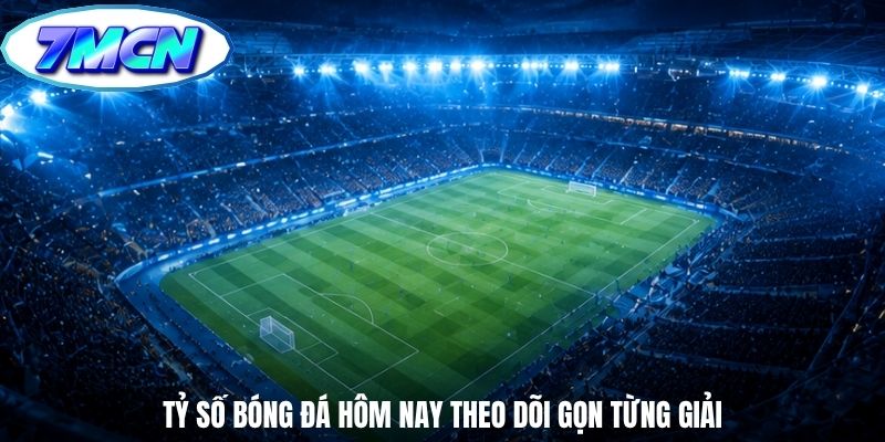 Tỷ số bóng đá hôm nay theo dõi gọn từng giải