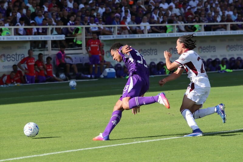 Fiorentina vs Torino - Chìm sâu vào khủng hoảng