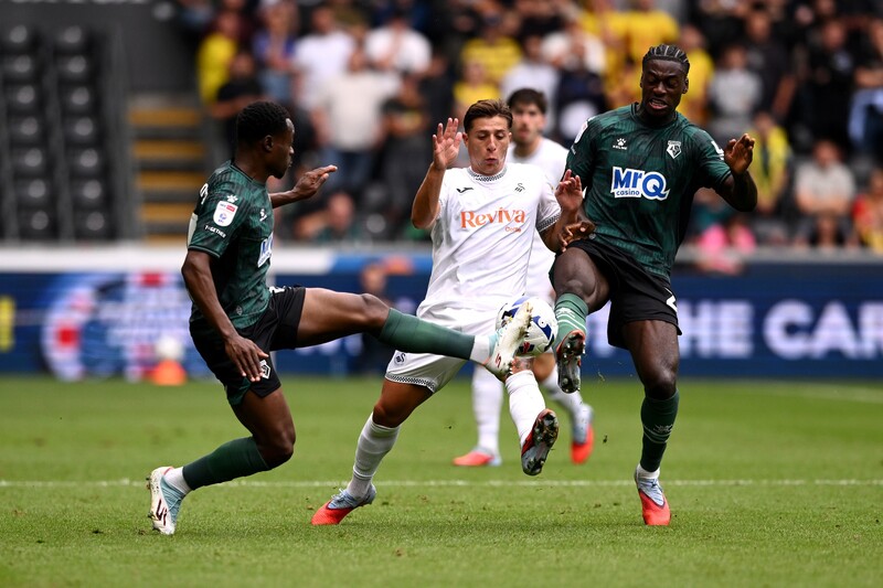 Swansea vs Watford - 3 điểm cho Thiên Nga Đen